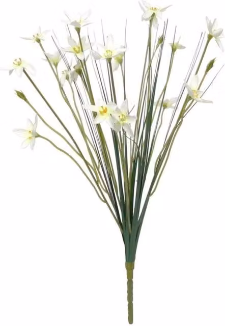 KDMD Zephyranthes Candida White and Green Floral Bush, 3 Pack