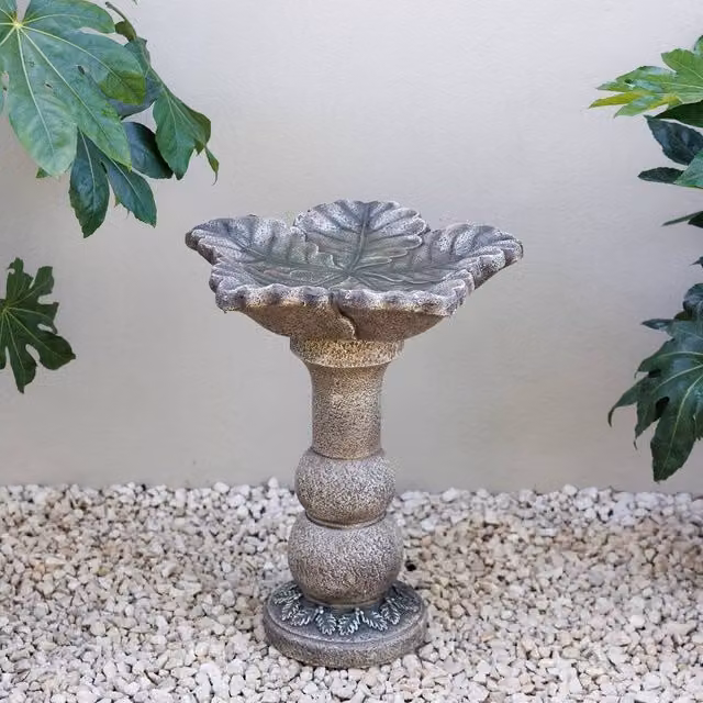 Primrose Eden Leaf Design Decorative Grey Garden Bird Bath Table, Height: 62 cm