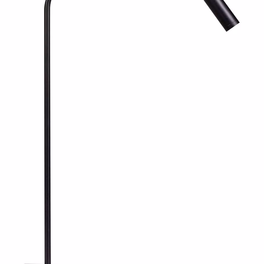 Wyld and Coco Black Metal LED Desk Lamp with Adjustable Shade – 2