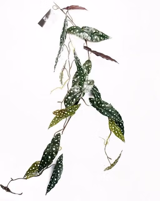 Artificial Hanging Trailing Begonia Maculata Spotted Green Plant