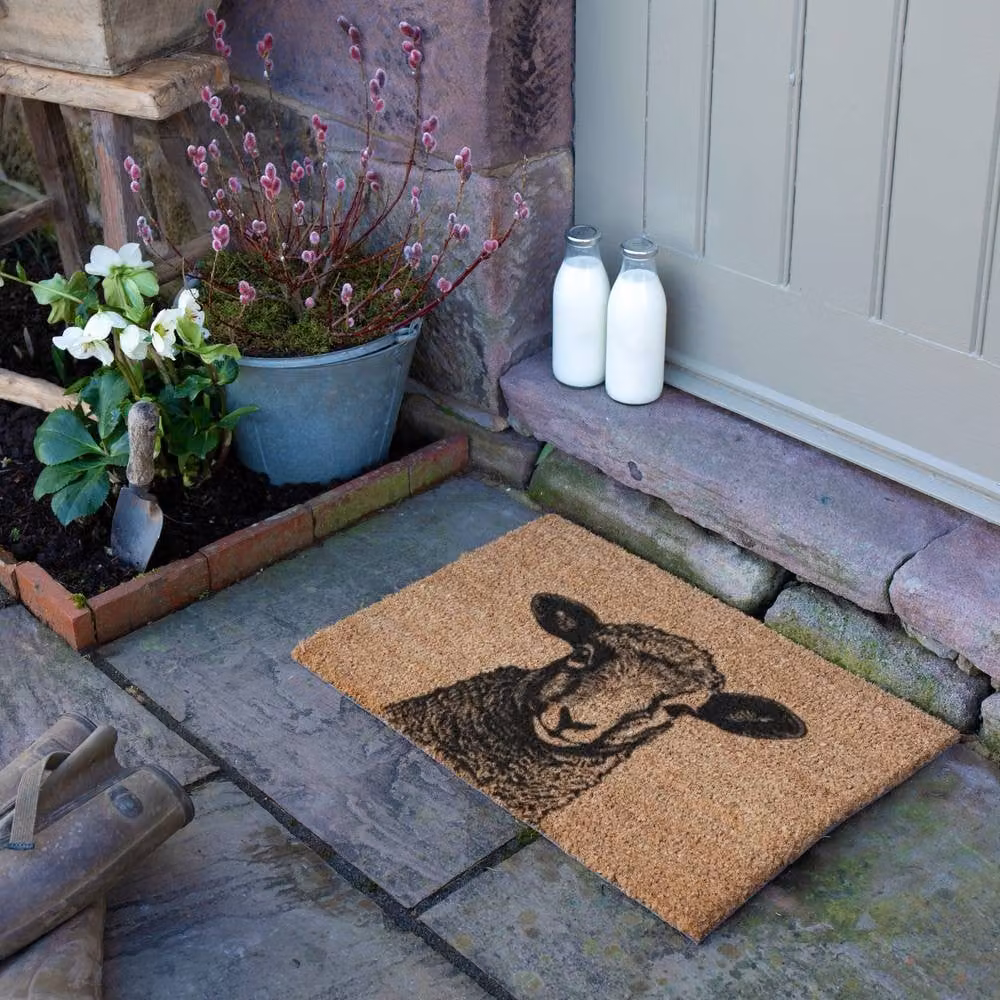 Artsy Mats Lamb Doormat in Brown, W/D: 60 x 40 cm – 2