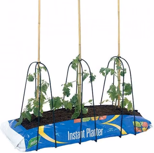 Garden Pride Black Grow Bag Plant Stake Supports for Vegetable Gardens