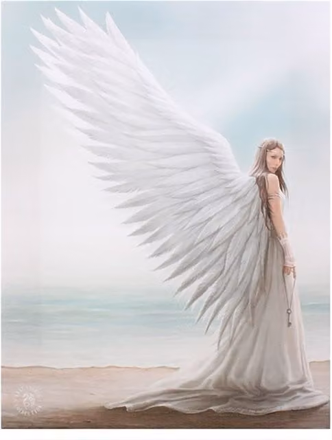 Anne Stokes Spirit Guide Multicolour Canvas Wall Plaque, W: 19 cm, H: 25 cm
