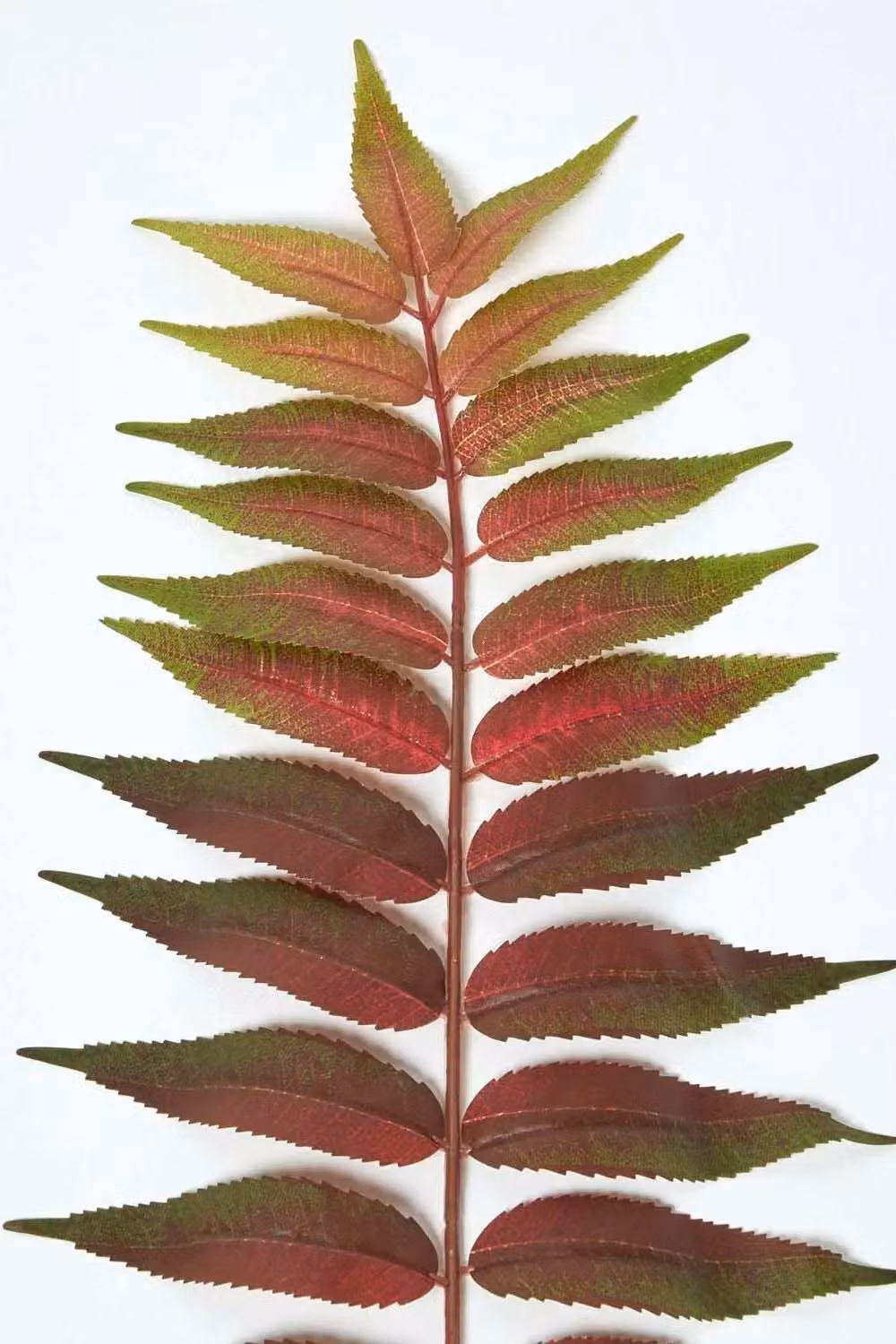 Homescapes Green Artificial Fern Leaf Single Stem Faux Foliage 72 cm – 3