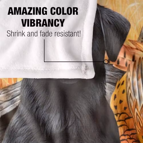 JQ Licensing Labrador Hunting Dog Super Soft Fleece Throw Blanket, White, W/D/H: 152 x 127 cm – 3