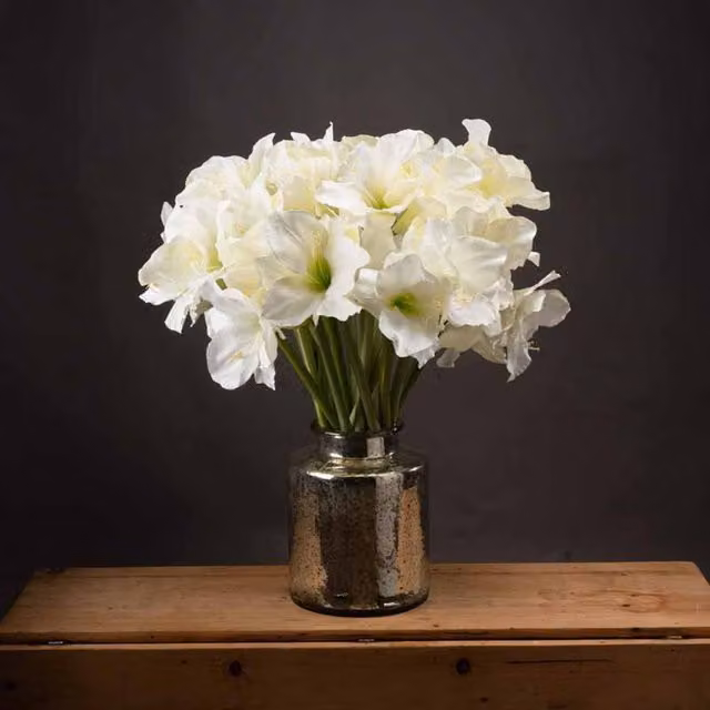 Lemon Pavilion Classic Amaryllis Artificial Flower Single Stem in White, W35 x D35 x H81 cm