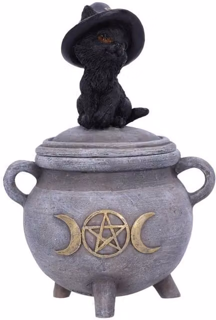 Nemesis Now Witch Cat Cauldron Box in Black and Grey, H 14 cm