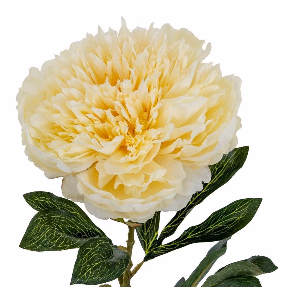 Lemon Pavilion Furniture and Decor Large Buttermilk Double Peony Stem Artificial Flower in Cream and Beige, W/D/H: 19 x 19 x 95 cm – 2