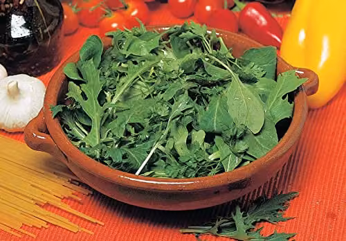 Johnsons Mesclun Mixed Vegetable Seeds – 3