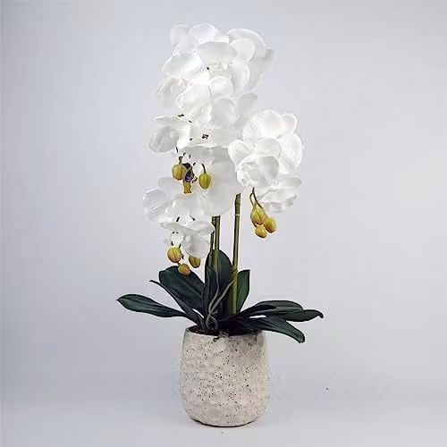 Leaf Design UK Realistic White Artificial Orchid in a Green Ceramic Bubble Planter, Height: 60 cm