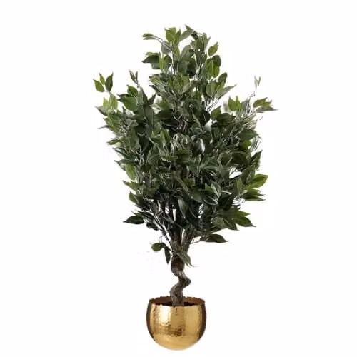 Leaf Evergreen Ficus Gold Curve Artificial Indoor Tabletop Tree with Metal Planter in Green and Gold, Height: 110 cm – 1