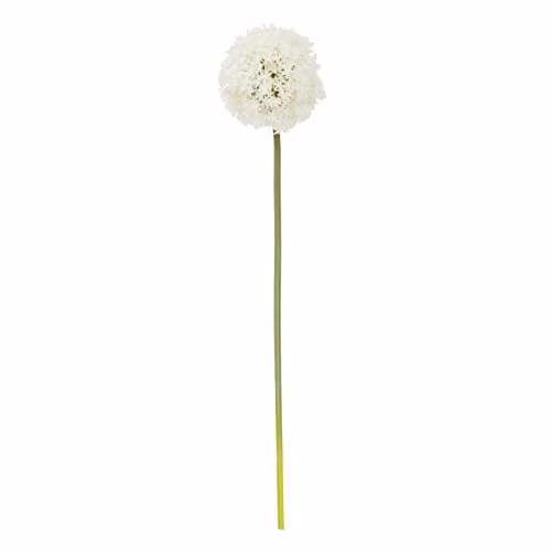 Premier Housewares Ivory Allium Artificial Flower Stem, White, W: 15 cm, D: 15 cm, H: 72 cm