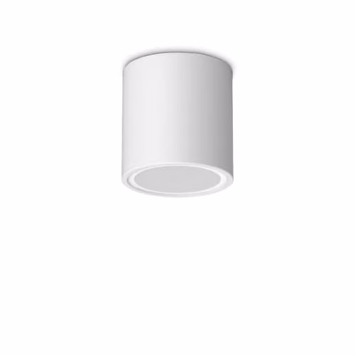 Netlighting Techo White Surface Mounted Outdoor Downlight IP54