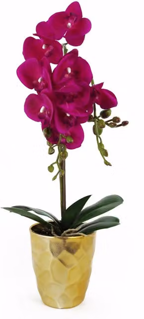 Dyzi Real Touch Artificial Pink Orchid Plant in a Round Decorative Tabletop Pot, H: 54 cm, W: 13 cm, D: 13 cm