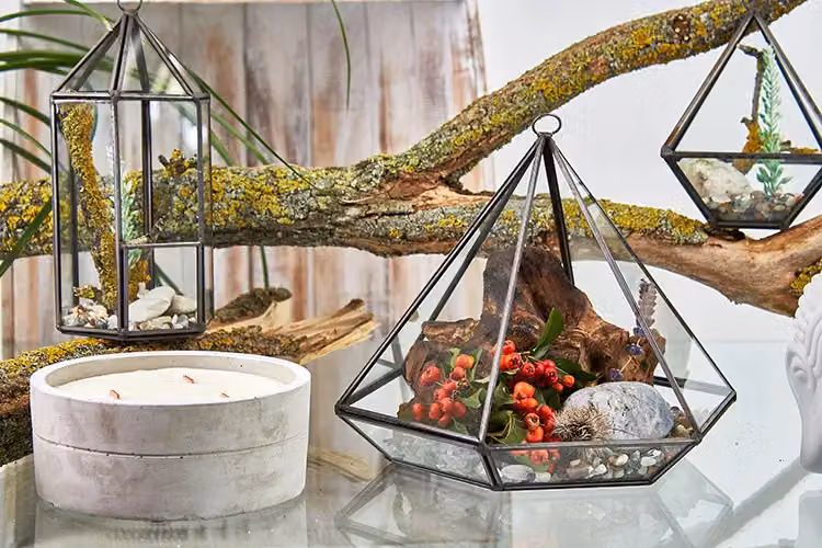 KDMD Geometric Glass and Metal Tabletop Terrarium in Brown – 2