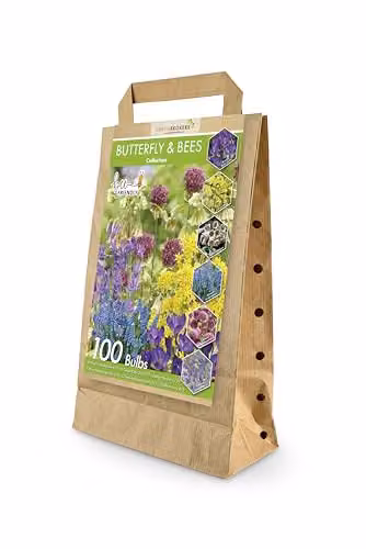 GreenBrokers Butterfly and Bee Collection Multicolour Spring Flower Bulbs – 1