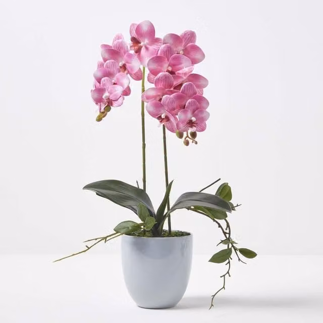 Homescapes Pink Artificial Orchid in a Grey Ceramic Pot, Height: 54 cm – 1
