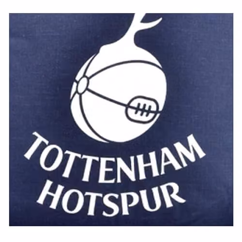Tottenham Hotspur FC Official Graphic Crest Cushion in Blue and White – 2