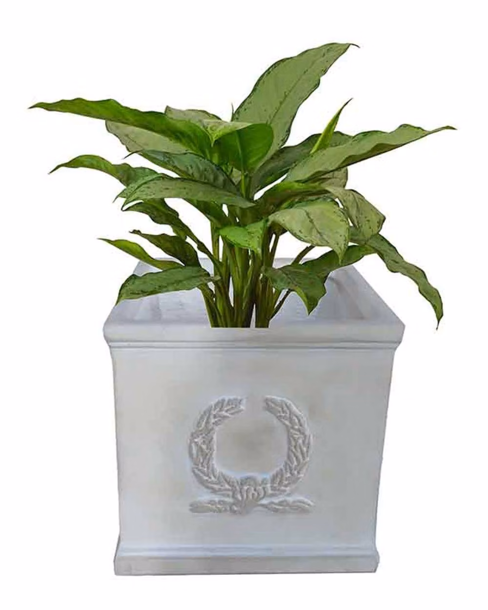 Dibor Beige Large Ceramic Planter for Outdoor Garden Use W/D/H: 37.5 x 37.0 x 37.0 cm – 2