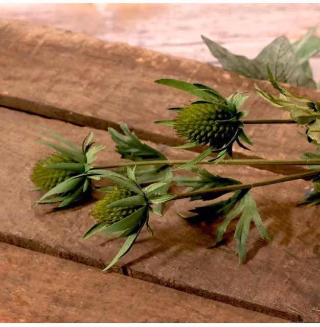 KDMD Green Thistle Spray, 2 Pack, Height: 66 cm