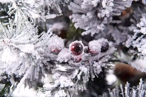 Shatchi 1.2m Pre-Lit Snow Flocked Potted Christmas Tree with 80 Warm White LED Lights, Pine Cones and Red Berries in White and Red – 9