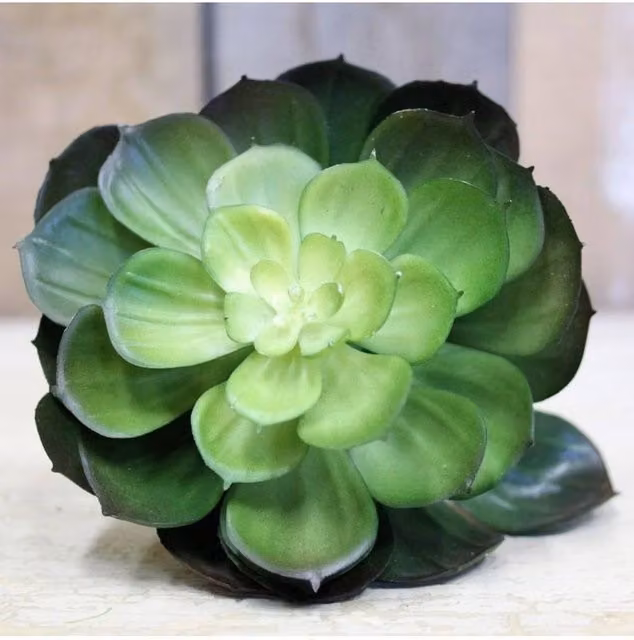 KDMD Green Succulent Pick, 2 Pack, 15 cm – 1