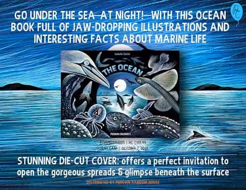 The Ocean at Night (Nature at Night) by Pushkin Children's Books, Multicolour Paper Book – 2