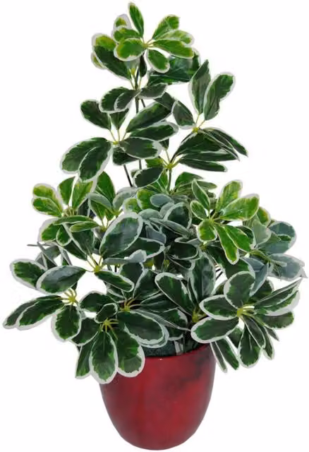 Dyzi Potted Artificial Green Plant with 450 Leaves for Tabletop Display