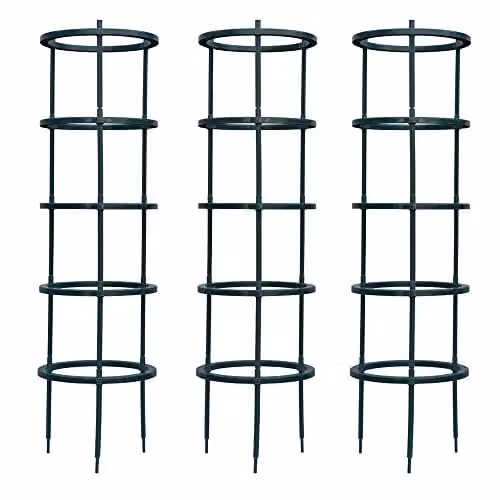 Thompson and Morgan Obelisk Tomato Growing Supports, Pack of 3, Black and Green Plastic – 1