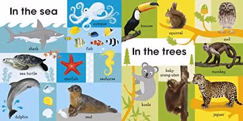 DK 100 First Animals Multicolour Cardboard Book – 3