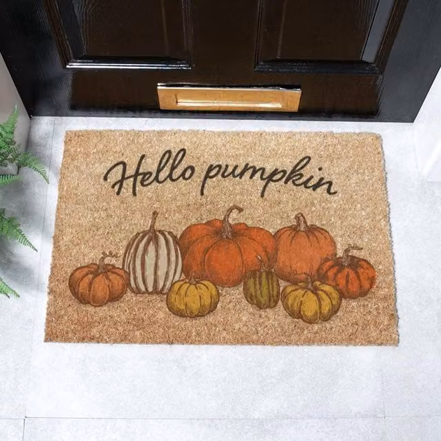 Artsy Mats Hey Pumpkin Doormat in Brown, W/D: 60 x 40 cm – 1