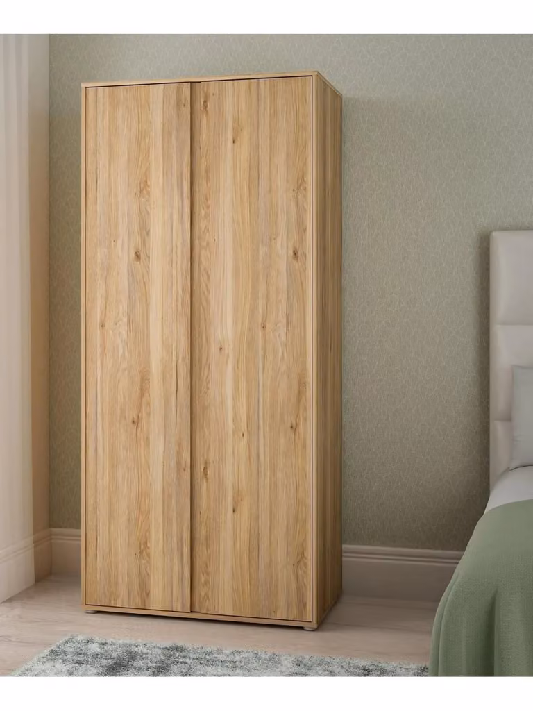 Lisson 2 Door Wardrobe in Brown with Minimalist Design and Internal Shelves