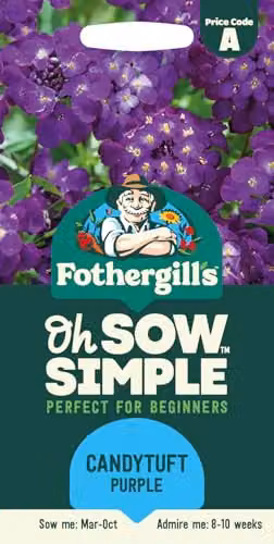 Mr Fothergill's Oh Sow Simple Candytuft Purple and White Flower Seeds – 1