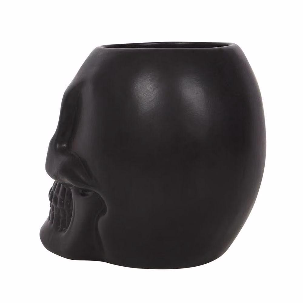 Something Different Dark Matter Skull Planter in Black, H 17.5 cm x W 14.5 cm x D 13 cm – 2