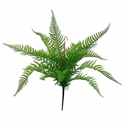 Leaf Design Dixie Fern Artificial Plant, Dark Green, Height: 60 cm