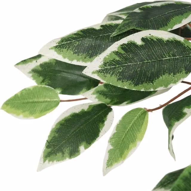 Berkfield Home Realistic Artificial Ficus Tree, Green, Height: 120 cm