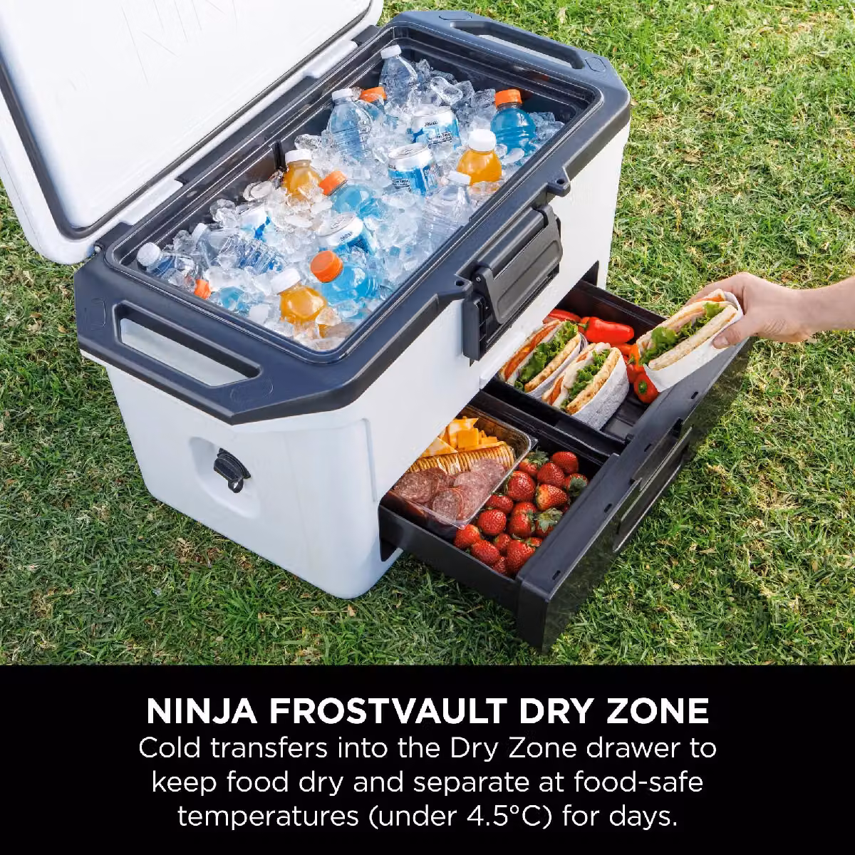 Ninja FrostVault 47L Hard Cooler with Dry Zone FB151UK in White – 4