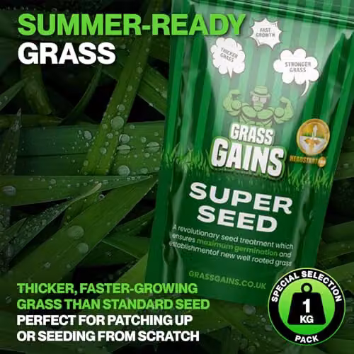 Grass Gains Premium Lawn Seed for Year-Round Growth, 1kg – 3