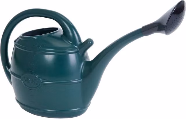 Strata Green Manual Watering Can with Rose