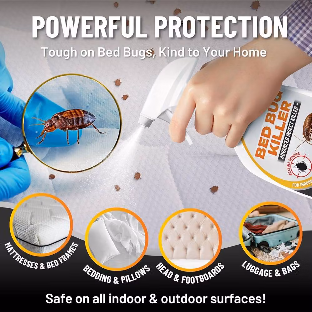 volila Bed Bug Killer Spray, 2 Pack, Multicolour – 2