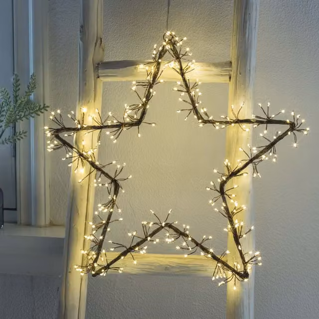 Biard LED Hanging Star Light in Black