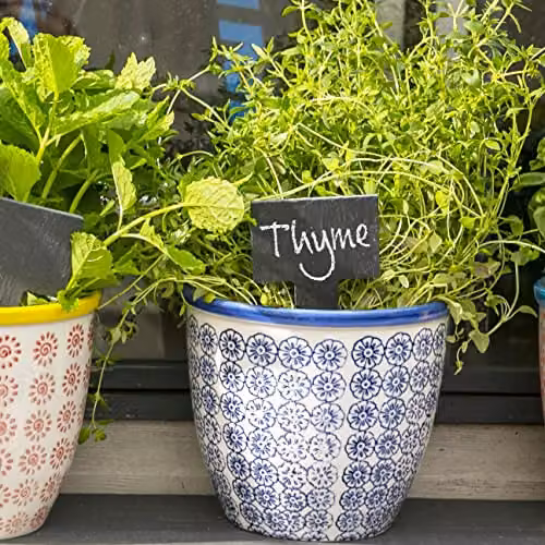 Nicola Spring Hand Printed Patterned Ceramic Plant Pots, Blue and Orange, Pack of 6, Diameter: 14 cm – 2