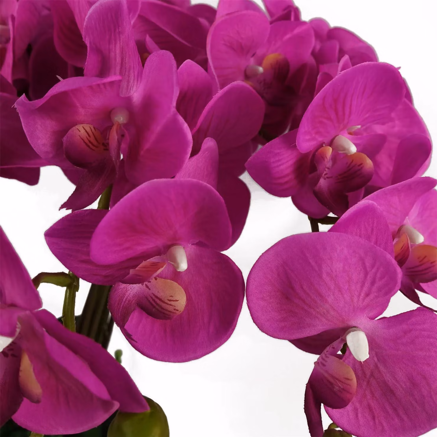 Botanik Realistic Artificial Pink Orchid Plant in Black Pot, Height: 85 cm – 2