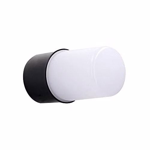 Netlighting FORLIGHT Port Black Outdoor Wall and Ceiling Fixture, IP54, E27, 40W