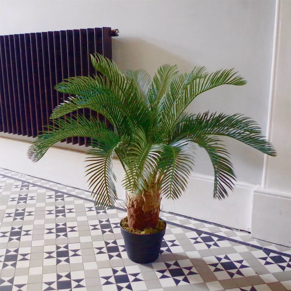 Leaf Artificial Tropical Cycas Palm Tree in Green and Black, Height: 70 cm – 2