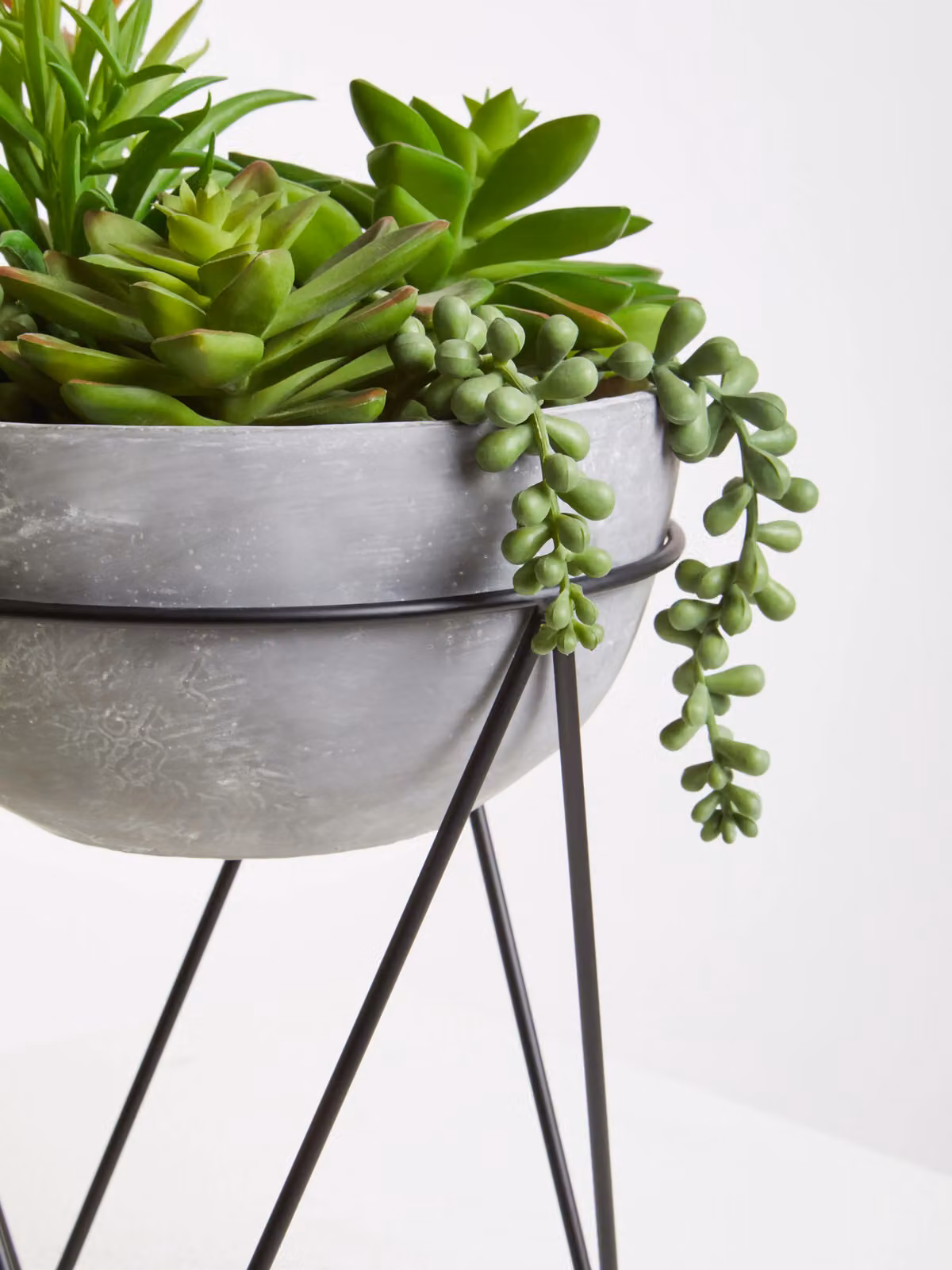 Fiori Modern Potted Mixed Succulent with Metal Stand and Ceramic Pot in Grey and Black – 4
