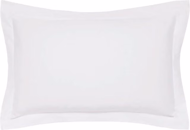 Bedeck of Belfast Egyptian Cotton 1000 Thread Count Mako Satin Pillowcase in Silver