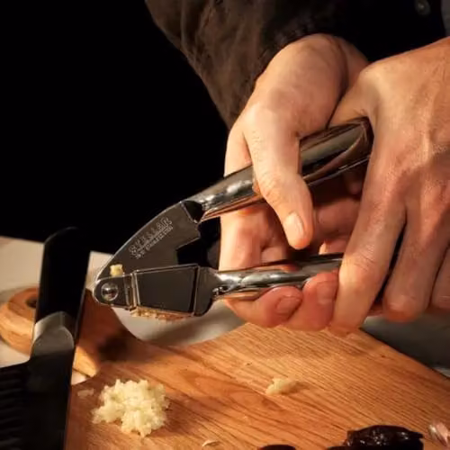 Stellar Stainless Steel Garlic Press in Silver – 5