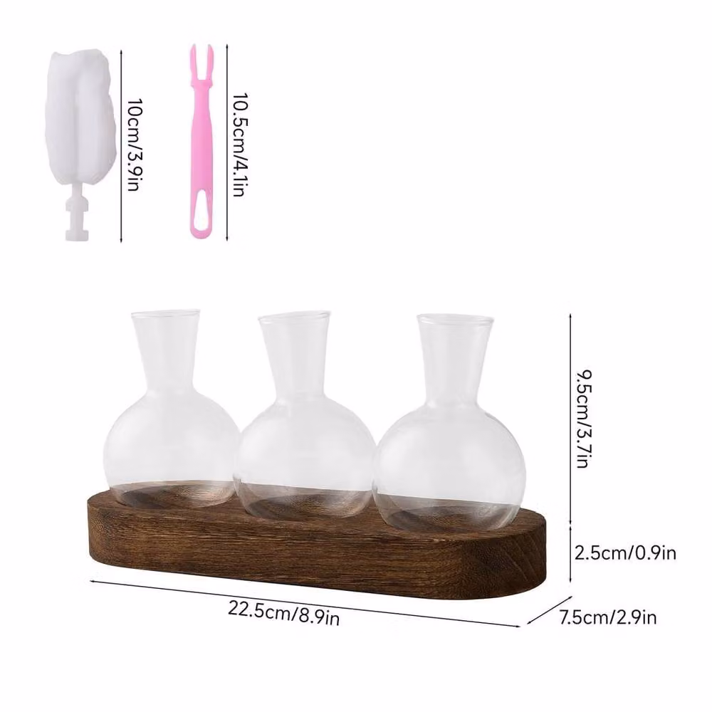 PAWNORA Desktop Propagation Station with Clear Glass Bulb Vases and Wooden Stand – 2