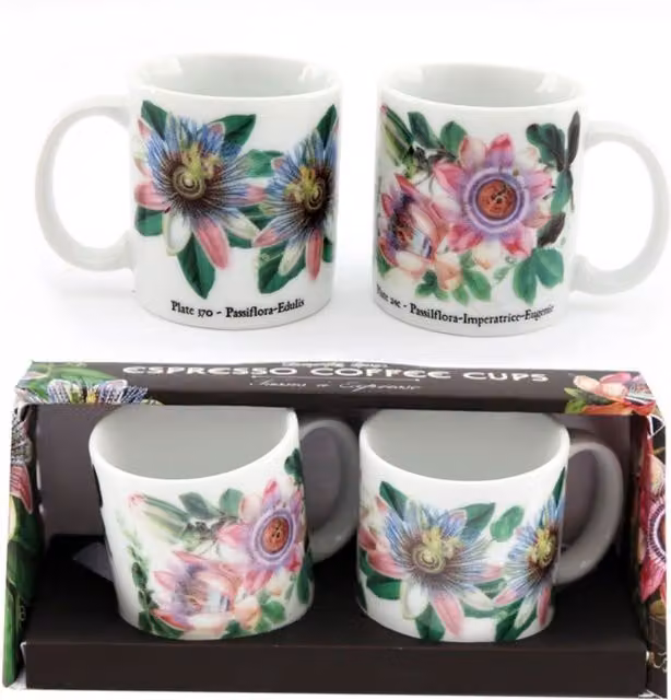 KDMK Set of 2 Floral Ceramic Espresso Cups in Green and White